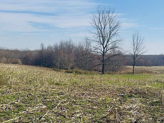 5th image of 0 Cabbage Patch Rd.