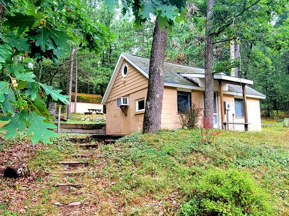 9177 S Lost Pine Ave, Baldwin, MI 49304