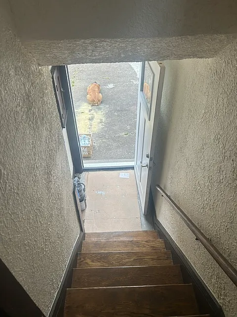 1 bed, 700 sqft, $800 — Photo 2