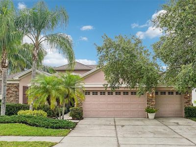 3228 Stonegate Falls Dr, Land O Lakes, FL, 34638
