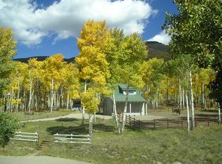 200 Wild Rose Ln, Almont, CO 81210