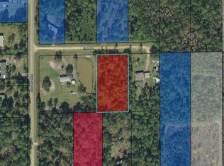 5894 Elm Ave, Bunnell, FL 32110