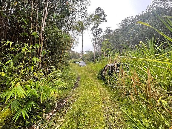 4th image of 11-3197 Lehua St Lot 7085