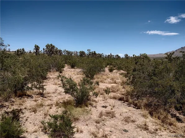0 Lomila Dr, Dolan Springs, AZ 86441