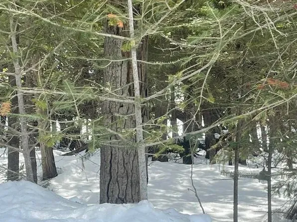 E Huron Dr, Pointe Aux Pins, MI 49775