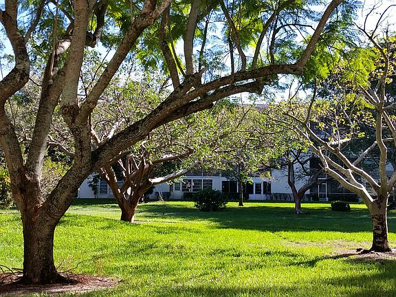 Back yard - garden park