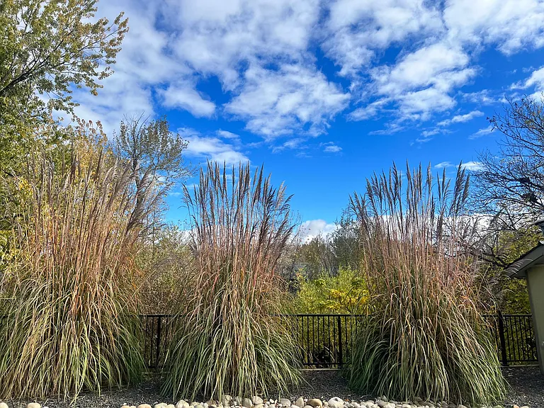 1140 S Colorado Ave — Photo 4
