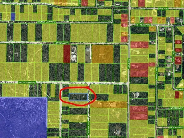 1613 Honeysuckle St, Sebring, FL 33875