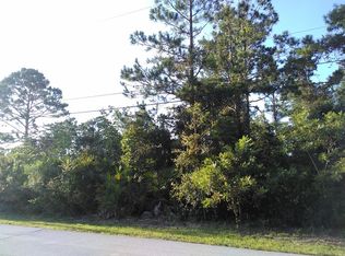 13 Rockefeller Dr, Palm Coast, FL 32164