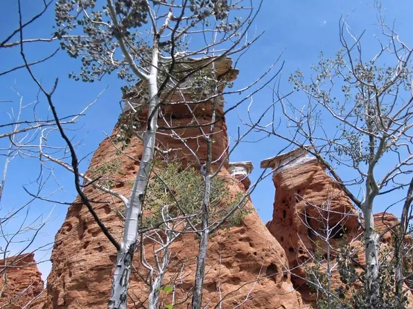 (undisclosed Address), Sand Creek Township, CO 82070