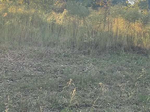3rd image of 0 Pineview Rd