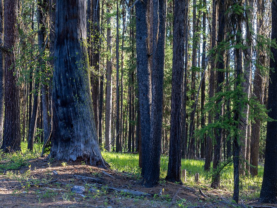 94th image of this home