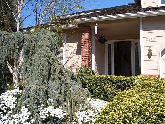 Mukilteo Home Front Door