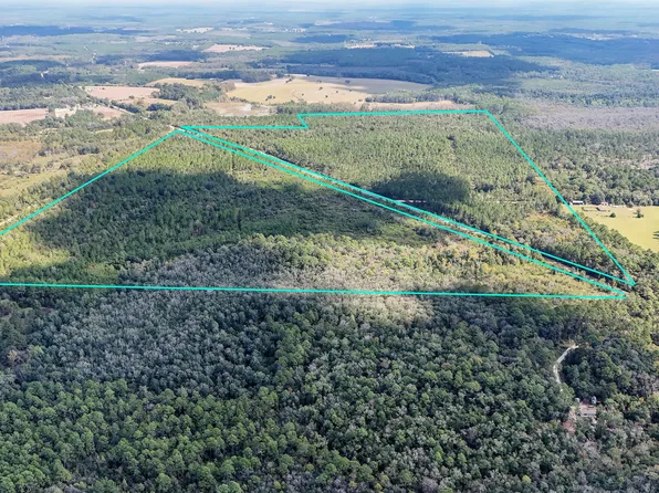 0 Douglas Ferry Rd, Bonifay, FL 32425