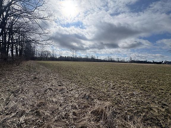 2nd image of Cook Rd