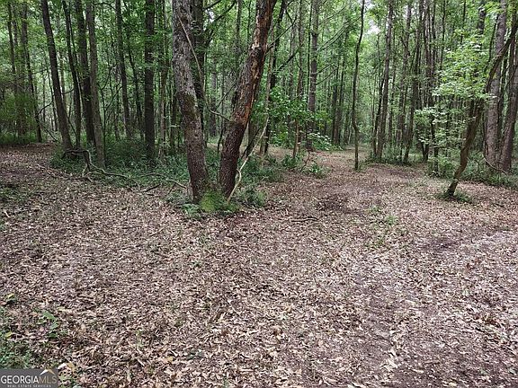 4th image of 7001 Coatsworth Dr Lot 1