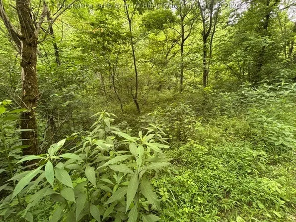 0 Brush Run Rd, Gay, WV 25244