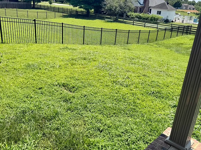 2651 Royal Ct — Photo 5