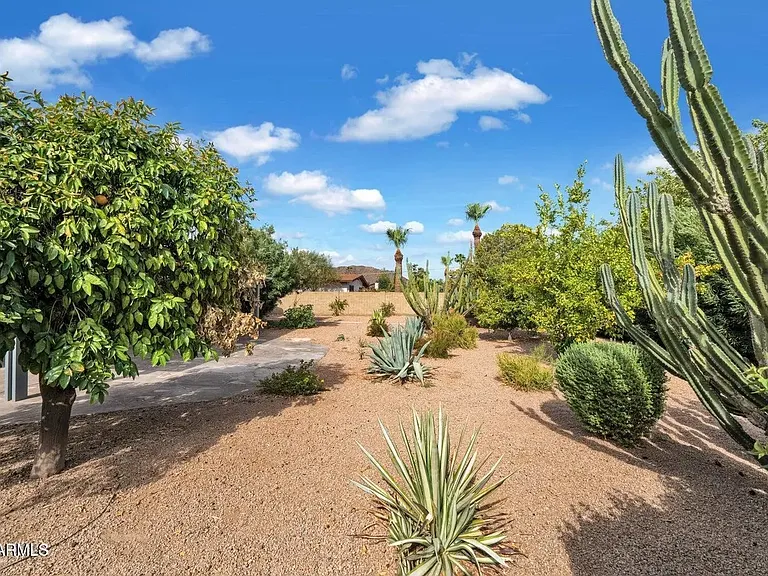 Backyard.