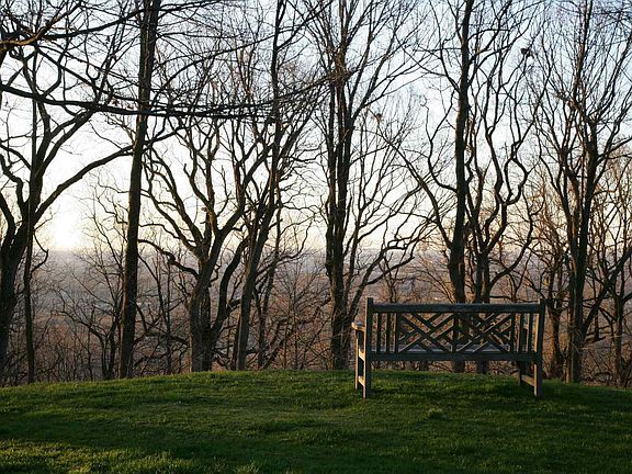 backyard view during the day