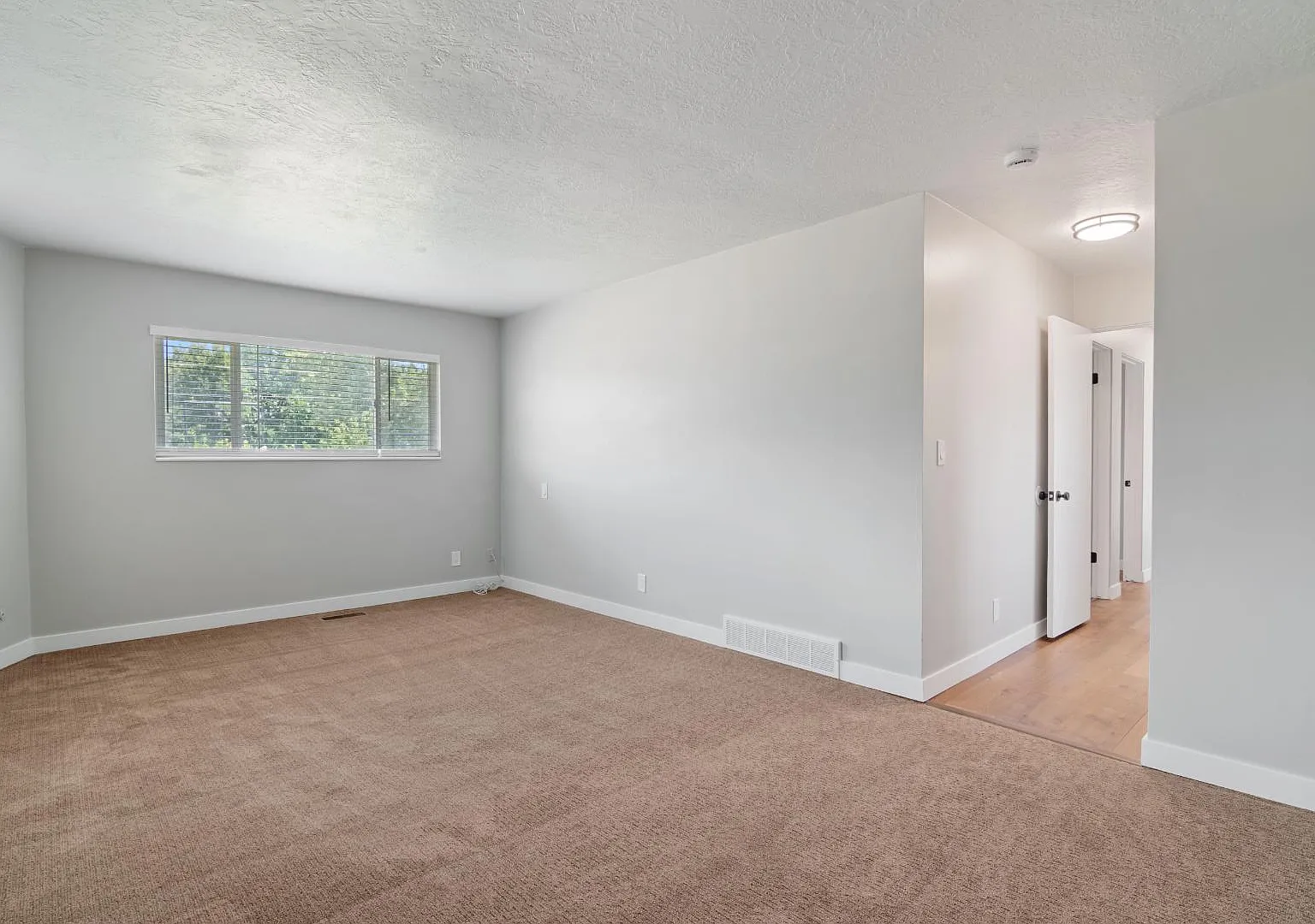 1159 S 300 W - 1159 S 300 W Downstairs — Photo 3