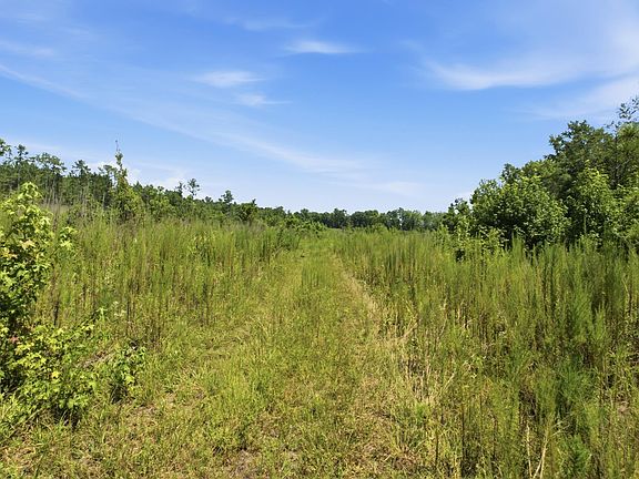 3rd image of 3390 Hunter Rd Lot 2