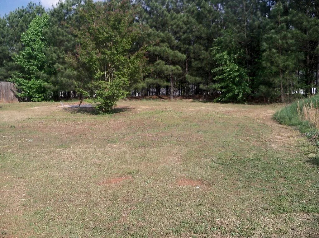 Building Photo - 4244 Viewpoint Ln