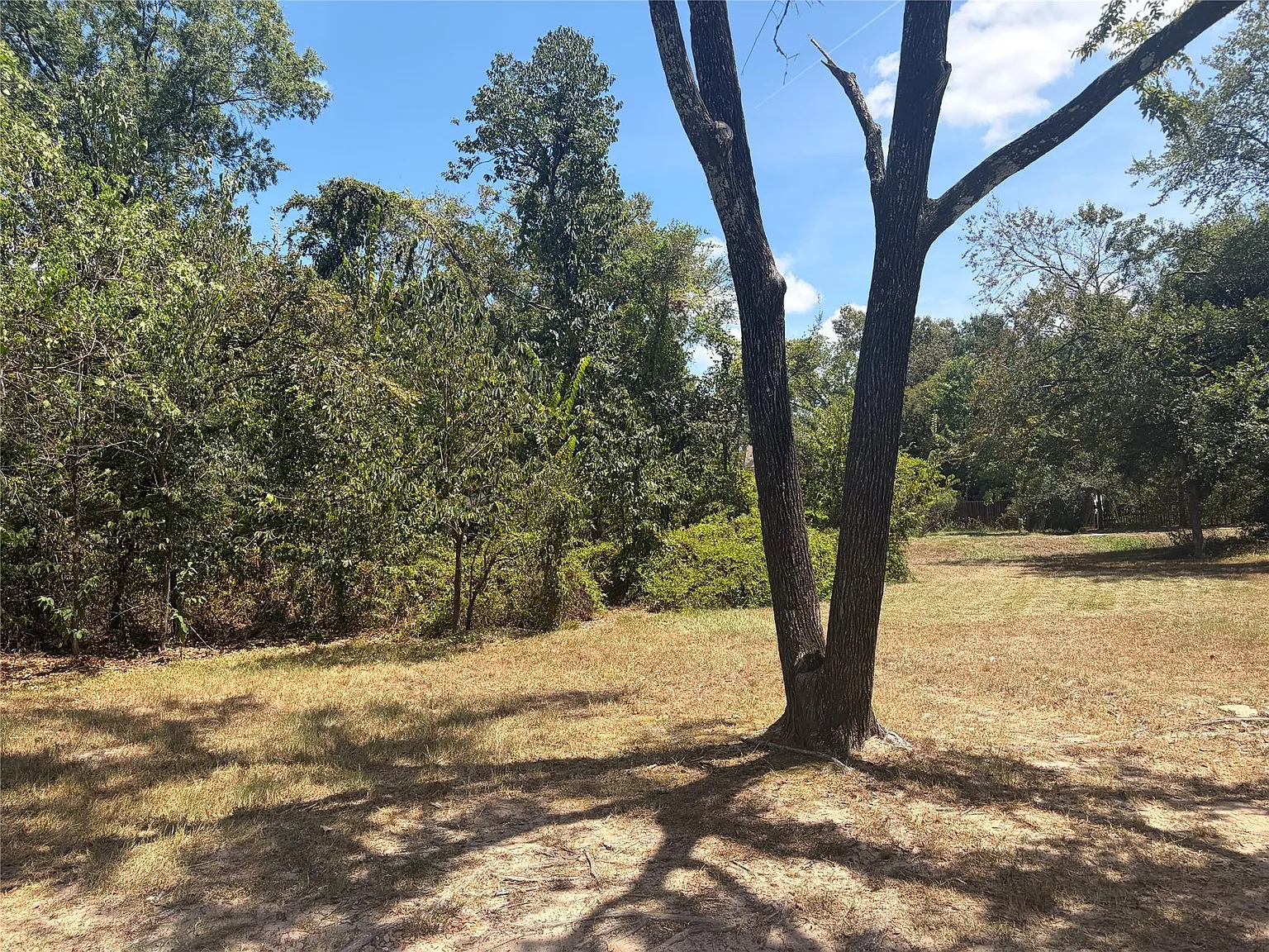 3 bed, 2.0 bath, 1252 sqft, $1,800 — Photo 2