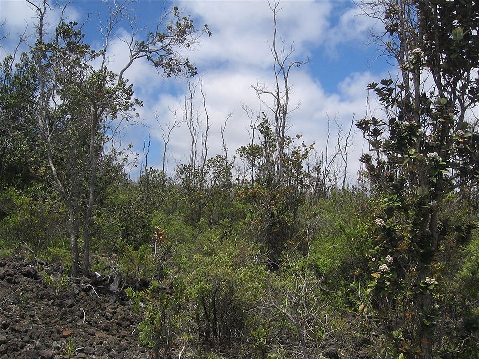 1st image of Paradise Pkwy Lot 27