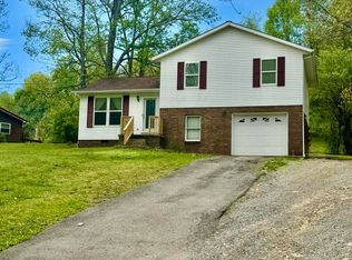 3 Bright Mountain Rd, Summersville, WV 26651