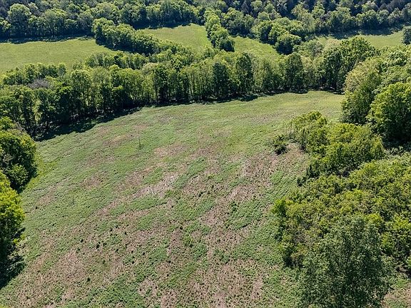45th image of 7480 Beech Hill Rd