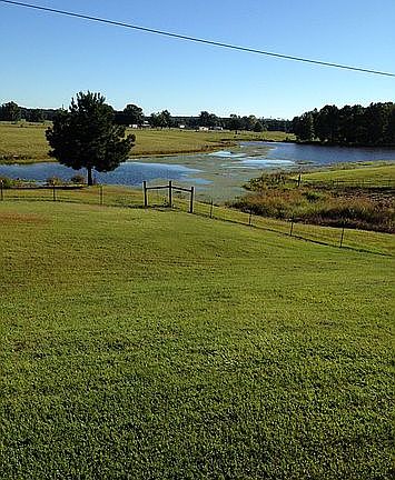 View from front porch