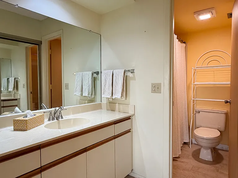 Primary Bathroom w/ walk-in shower!