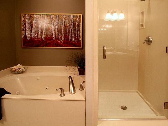 Master Bath Jacuzzi tub and walk in shower