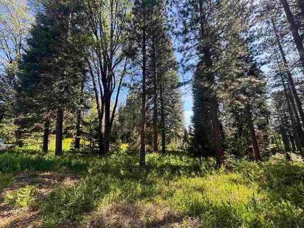 34 Mill House, McCloud, CA 96057