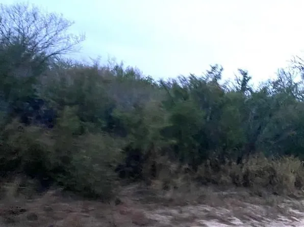 7039 Fm 1329, San Diego, TX 78384