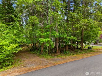 0 xx N Mountain View Drive, Hoodsport, WA, 98548