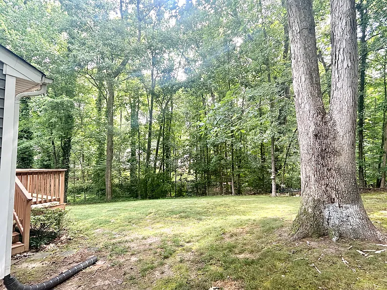 12114 Mountain Laurel Dr — Photo 29