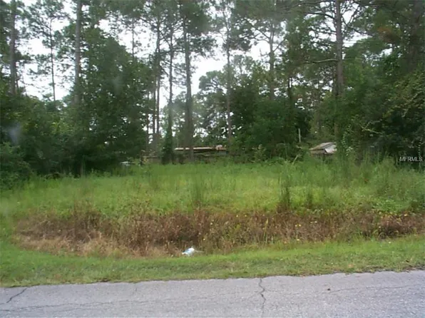 24146 Alleycat Rd, Astor, FL 32102