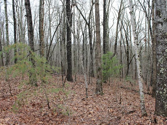 4th image of 188 Beachwood Dr Lot 34