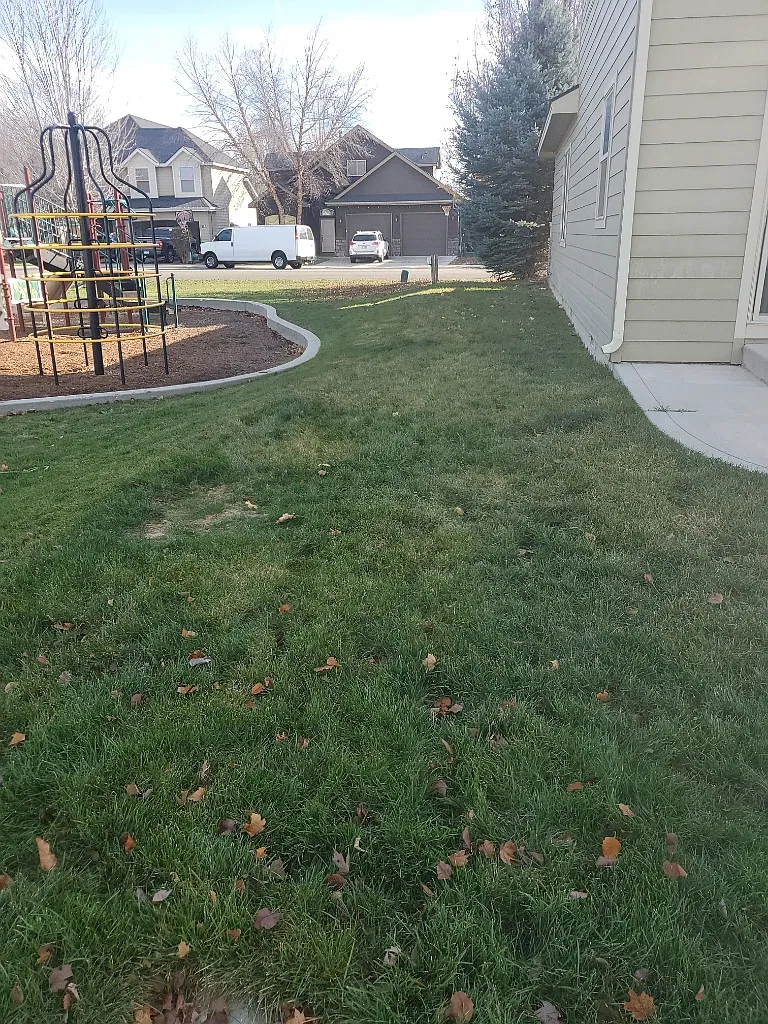 5 bed, 3.0 bath, 2582 sqft, $1,995 — Photo 4