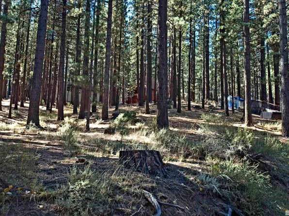 66 Pleasant Valley Rd, Markleeville, CA 96120