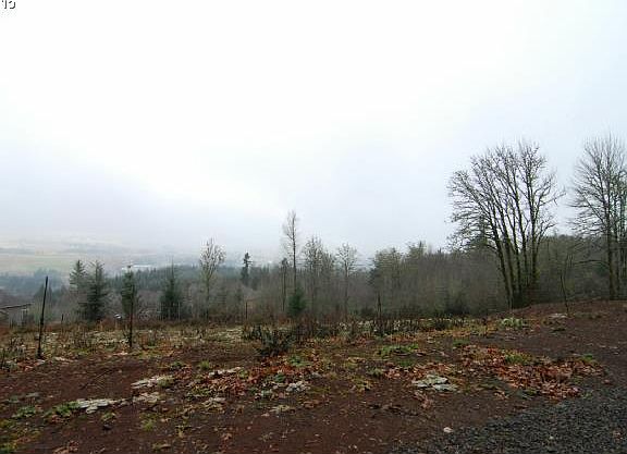 3rd image of 18716 SW Salmonberry Dr
