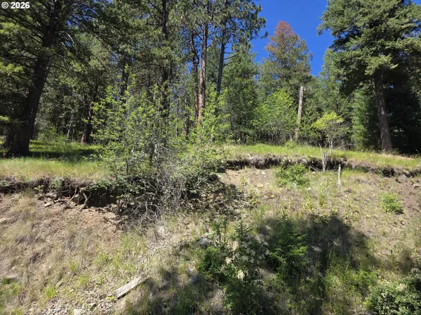 61290 Lake Shore Rd, Joseph, OR 97846