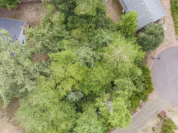 2nd image of 758 Pintail Court SE