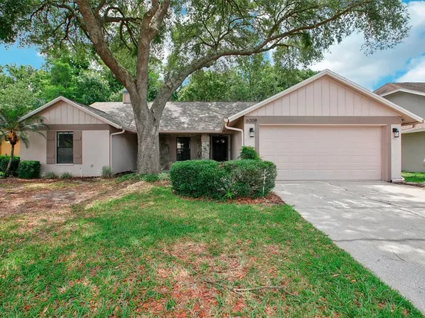6208 Eaglebrook Ave, Tampa, FL 33625