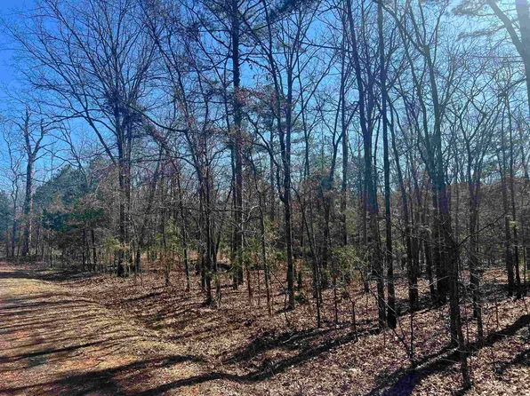5 Ellen Ln Lot 5, Higden, AR 72067