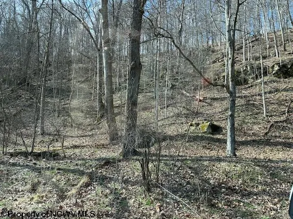 517 1/2 Hoult Rd, Fairmont, WV 26554