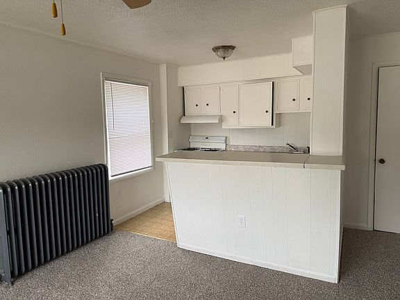 3rd image of 43 W Lewis St #3