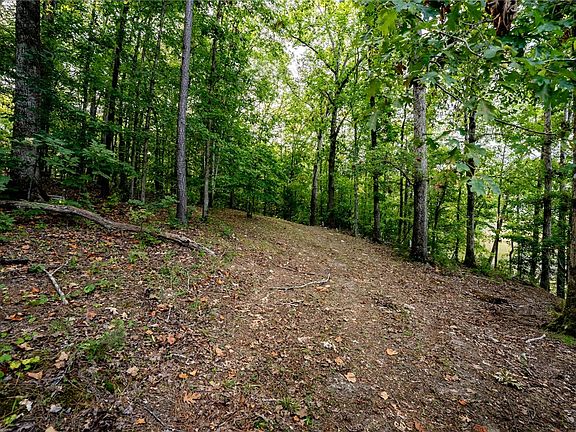 3rd image of 68 Buckeye Cir